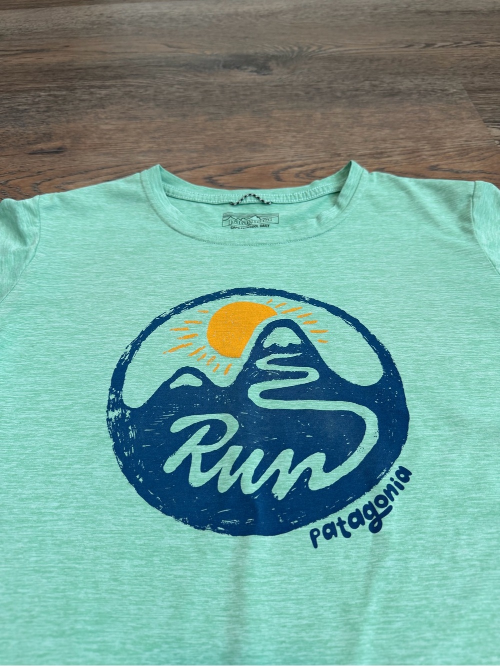 Patagonia Capilene Cool Daily Graphic Tee Switchback Run Gypsum Green Size Small - Picture 2 of 6